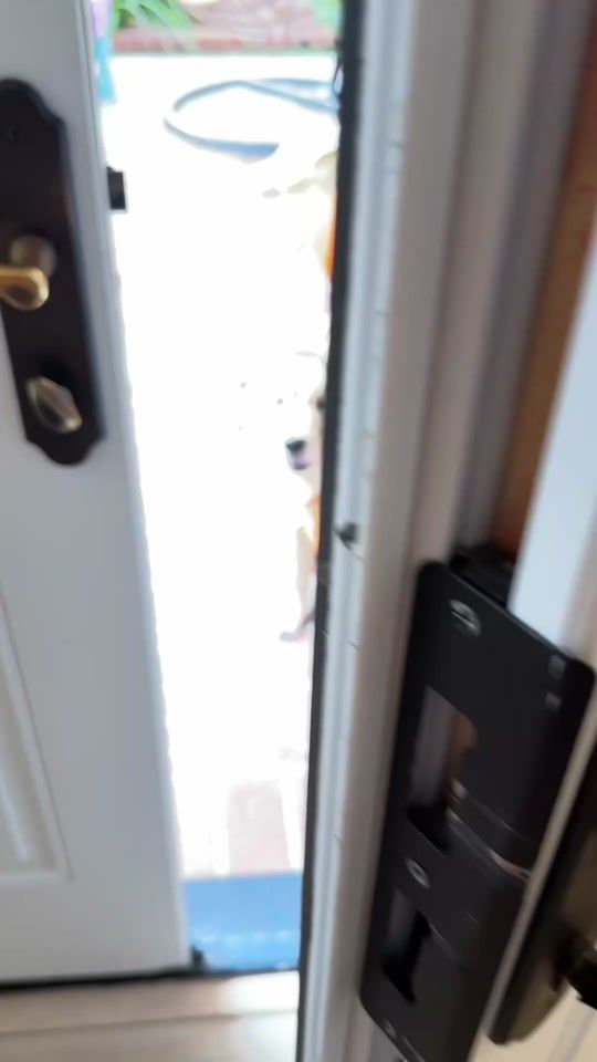 TikTok video thumbnail by ladyandtheblues
