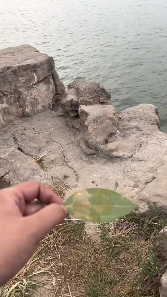 TikTok video thumbnail by anime_collector.w