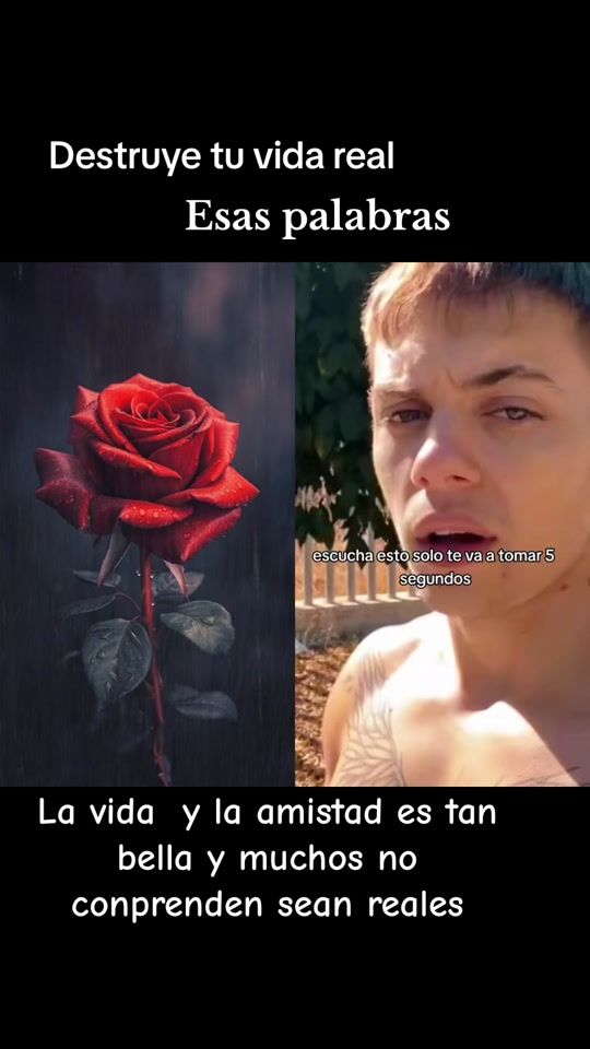 TikTok video thumbnail by larubiadivertidadetiktok