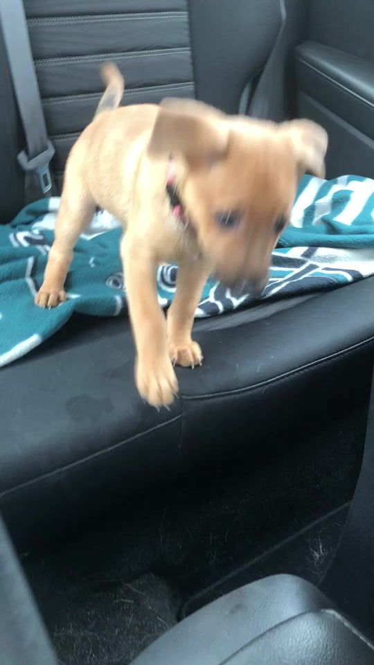 TikTok video thumbnail by manzorachael