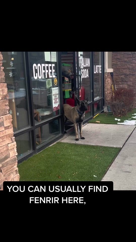 TikTok video thumbnail by cachecoffee
