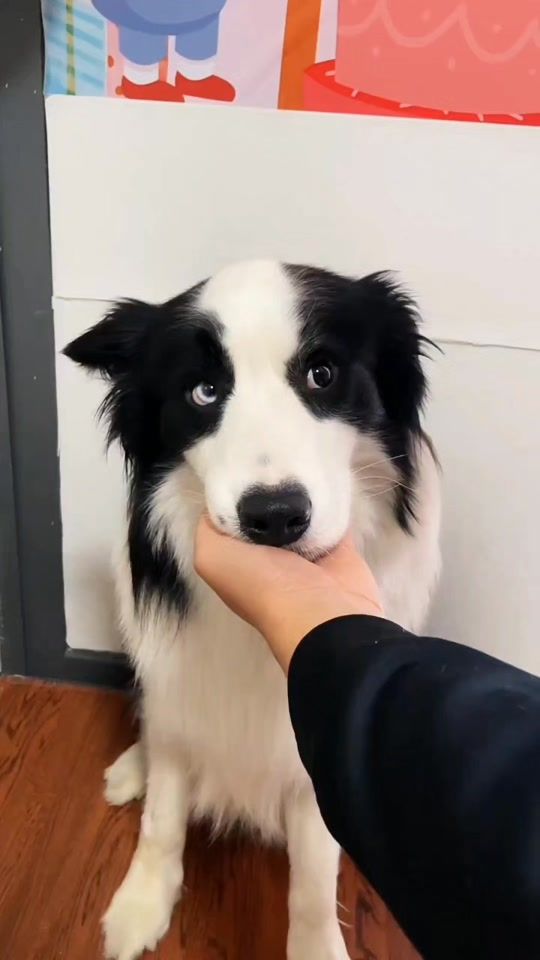TikTok video thumbnail by fromchina85