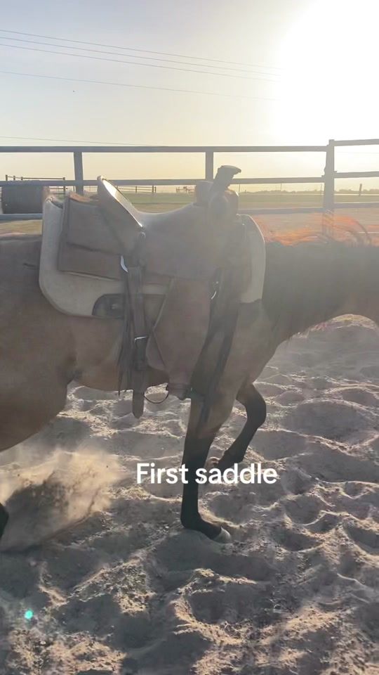 TikTok video thumbnail by guspeterson11