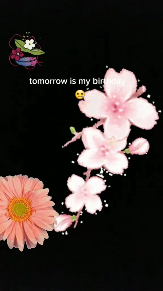 TikTok video thumbnail by blossom_the_sad_weirdo