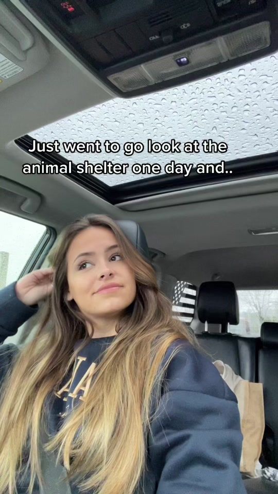 TikTok video thumbnail by madalynsterne