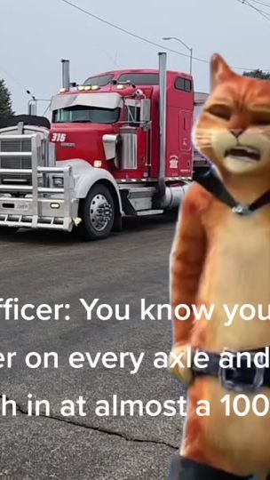 TikTok video thumbnail by cappedoutw9