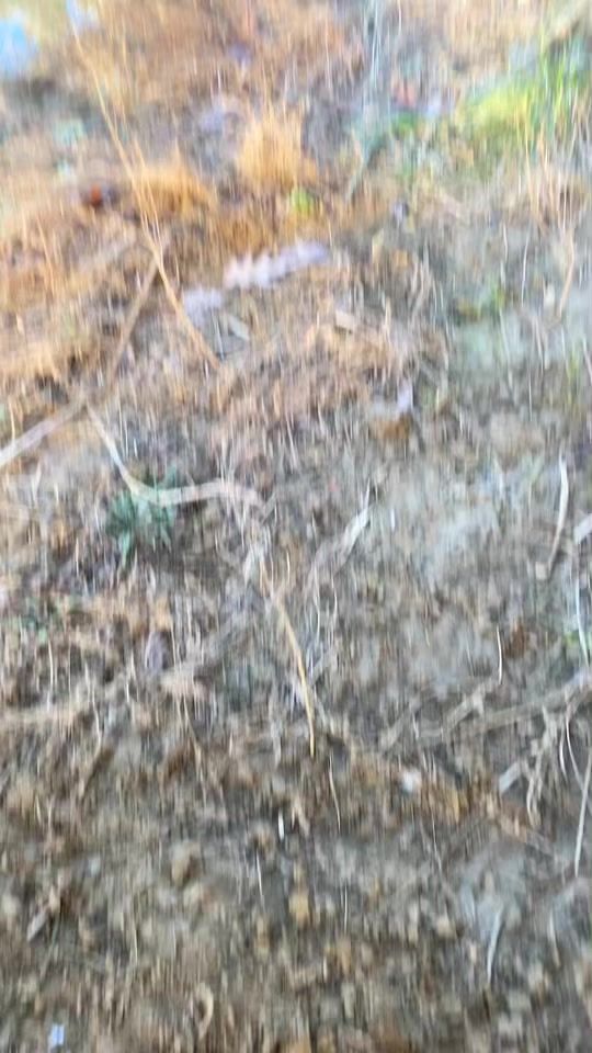 TikTok video thumbnail by a_mcfalls05