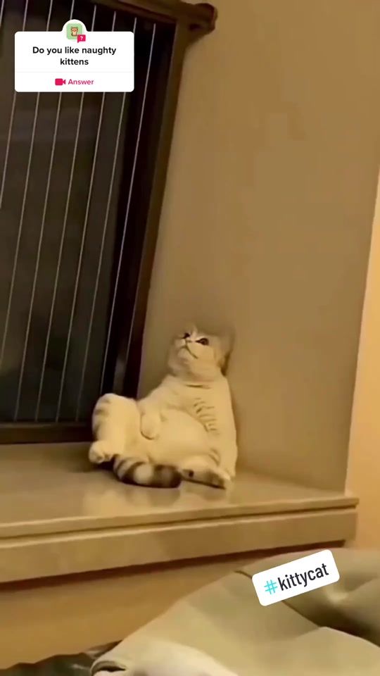 TikTok video thumbnail by hiii67i