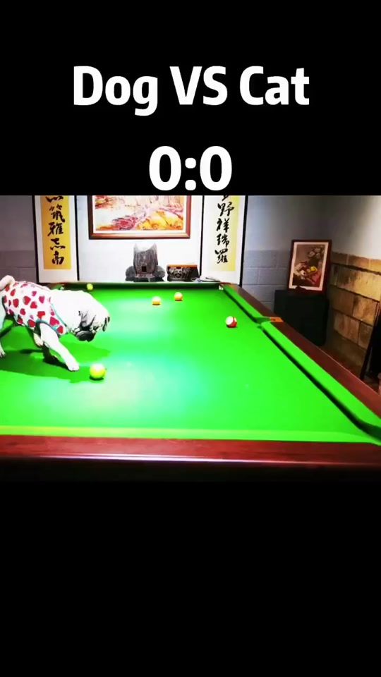 TikTok video thumbnail by catdogdraw