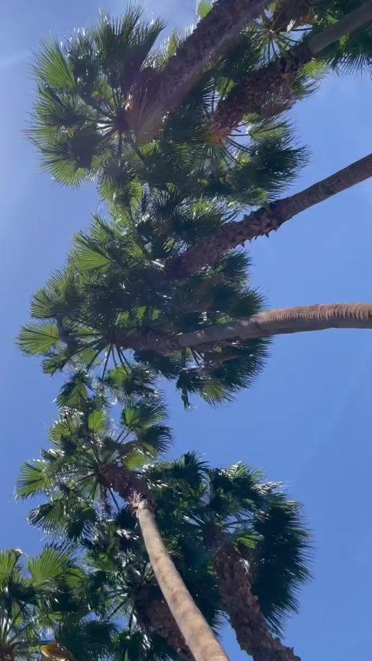 TikTok video thumbnail by alwaystiller