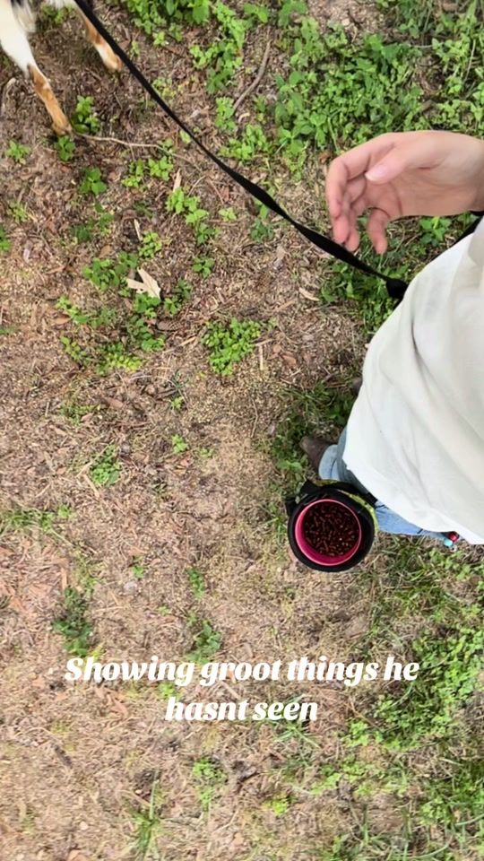 TikTok video thumbnail by jackal1713
