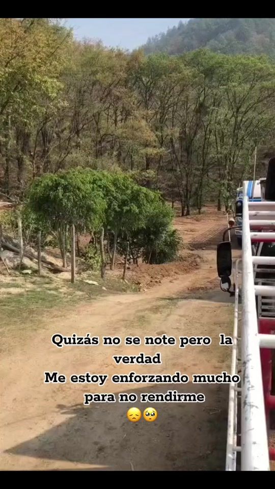 TikTok video thumbnail by wernerpotrillo7