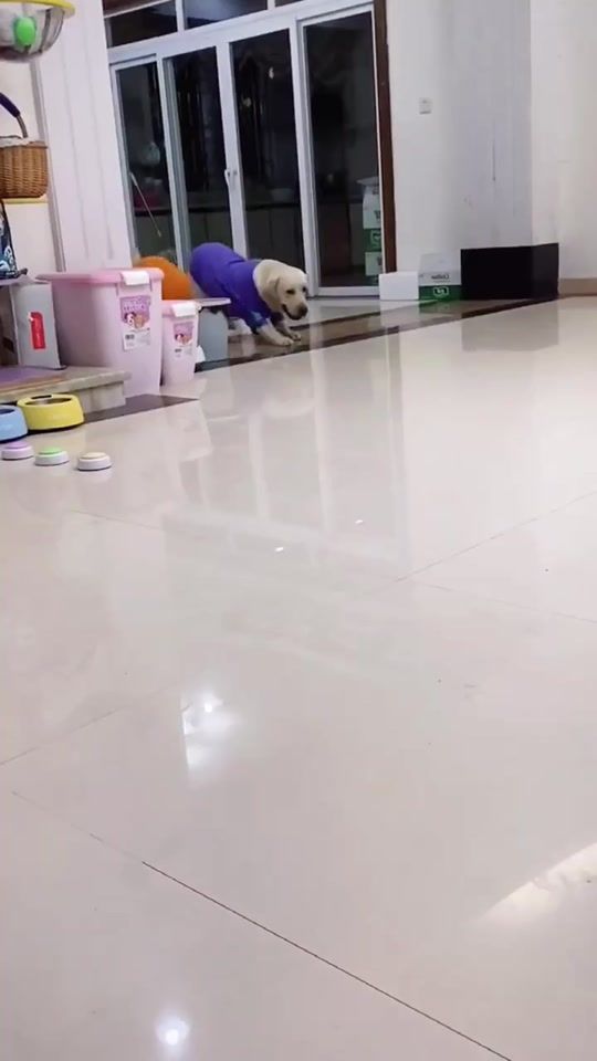 TikTok video thumbnail by ohcutepet
