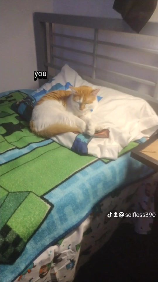 TikTok video thumbnail by selfless390