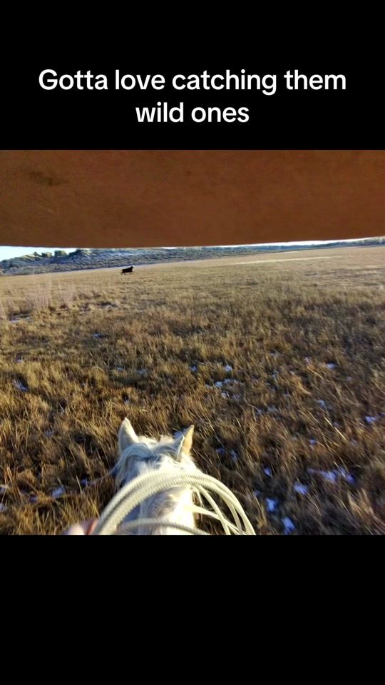 TikTok video thumbnail by kurtmcnabb391