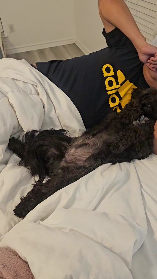 TikTok video thumbnail by furdoggies