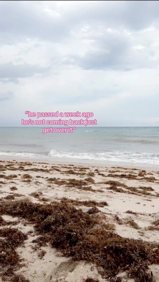 TikTok video thumbnail by longlivebbuchbinder
