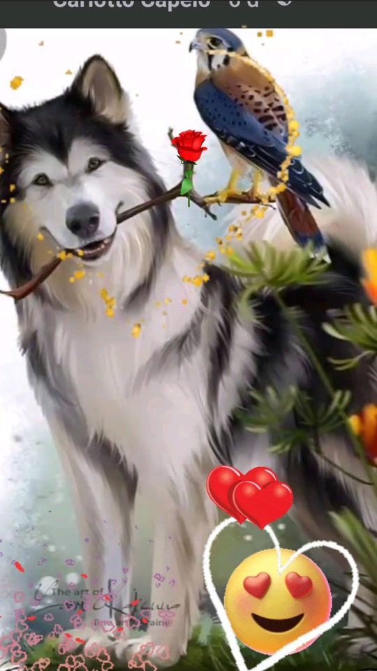 TikTok video thumbnail by normaquintero716