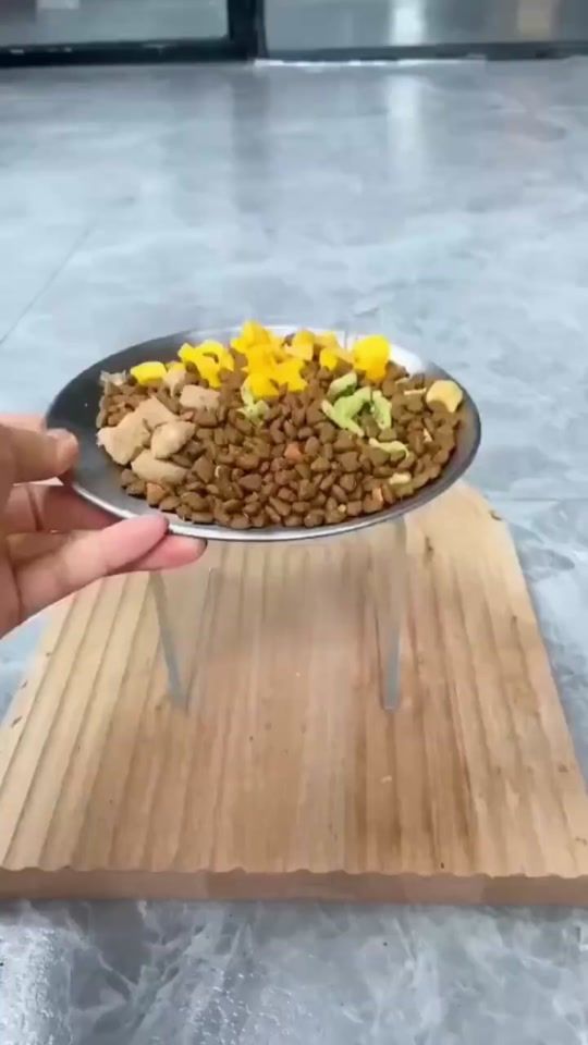 TikTok video thumbnail by petproduct6