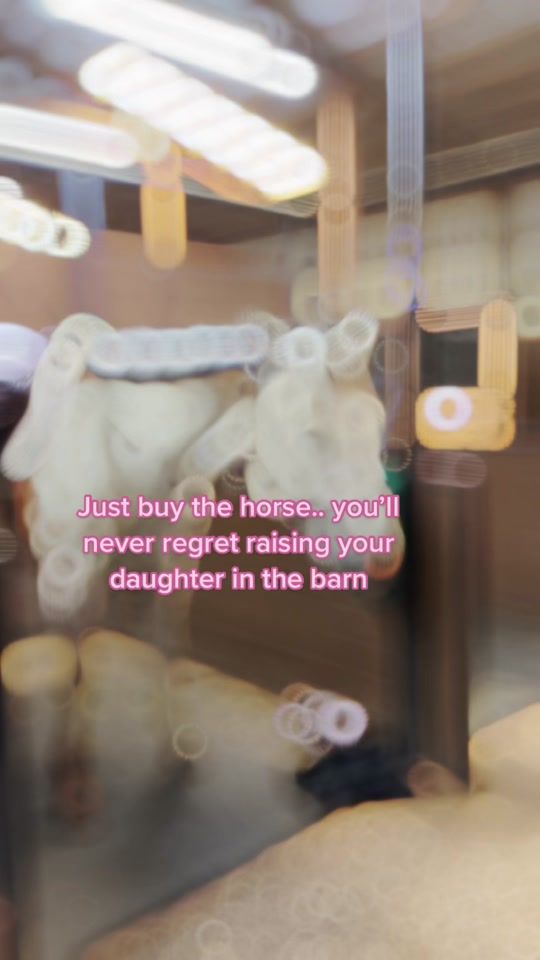 TikTok video thumbnail by equestrian9908