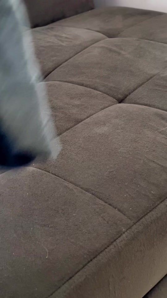 TikTok video thumbnail by izidoritos