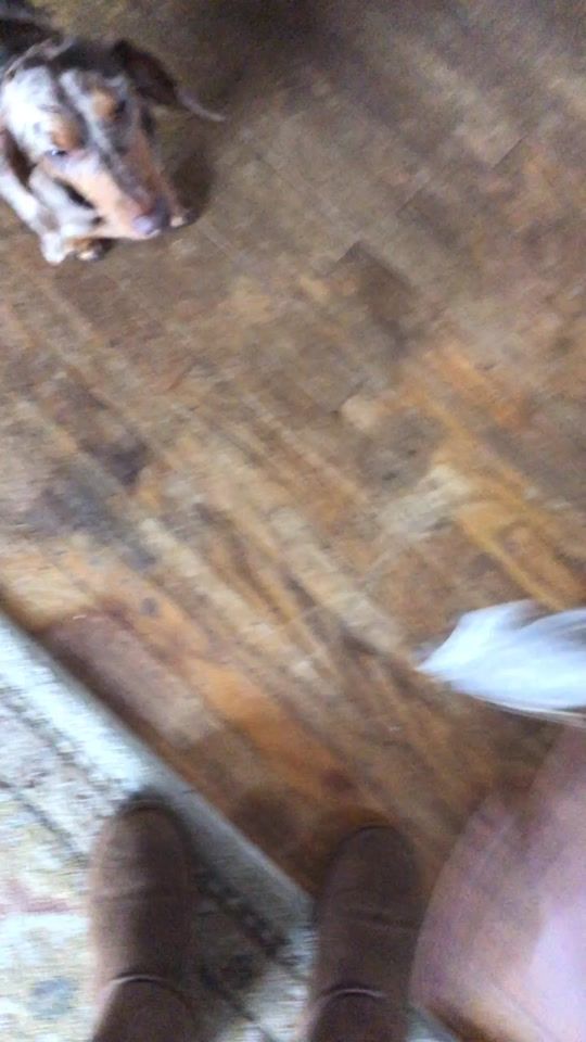 TikTok video thumbnail by hanathehuman