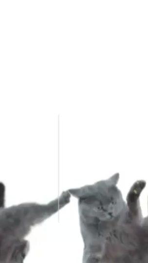 TikTok video thumbnail by tenkagken