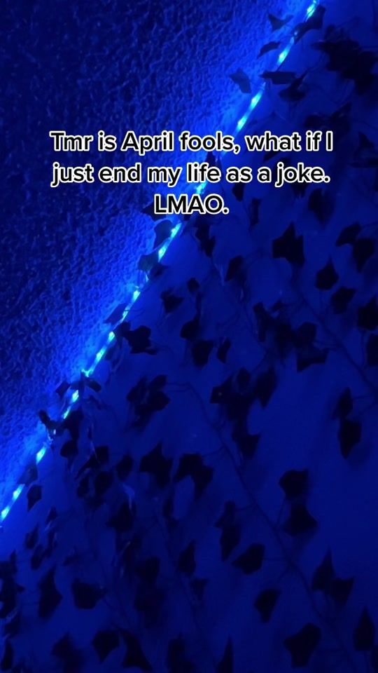 TikTok video thumbnail by in.your.feels.0