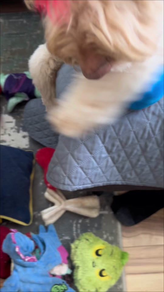 TikTok video thumbnail by breckindood17
