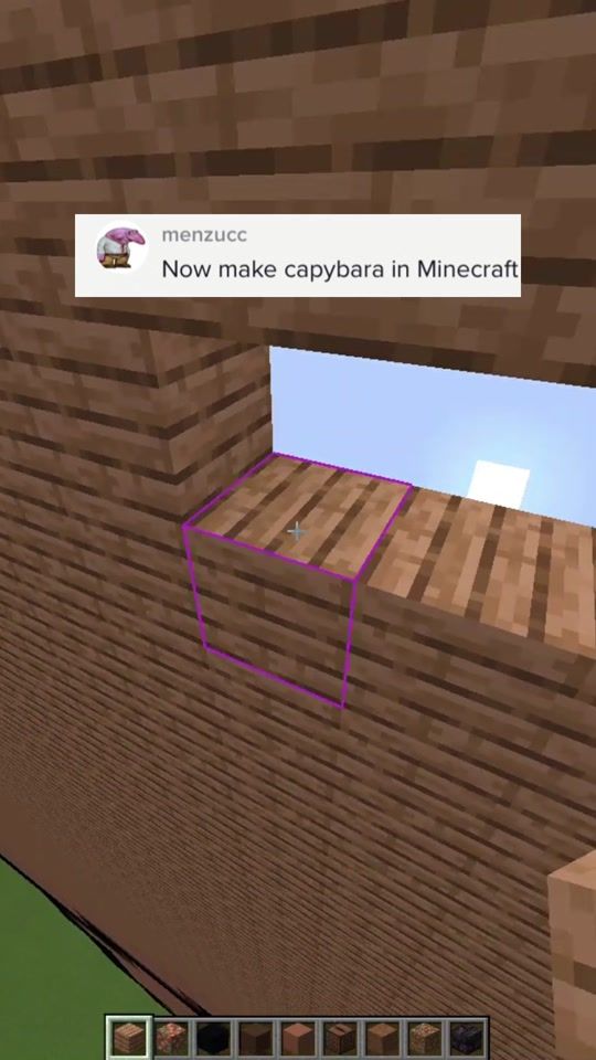 TikTok video thumbnail by peashock