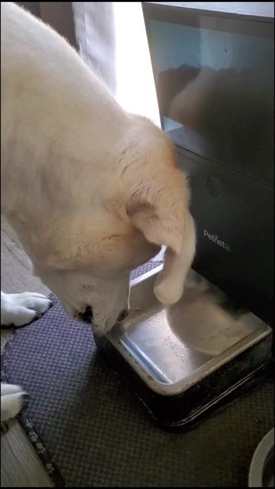 TikTok video thumbnail by familytech