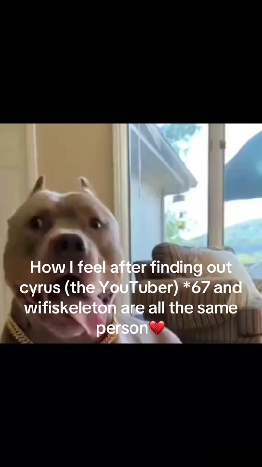 TikTok video thumbnail by defficiles