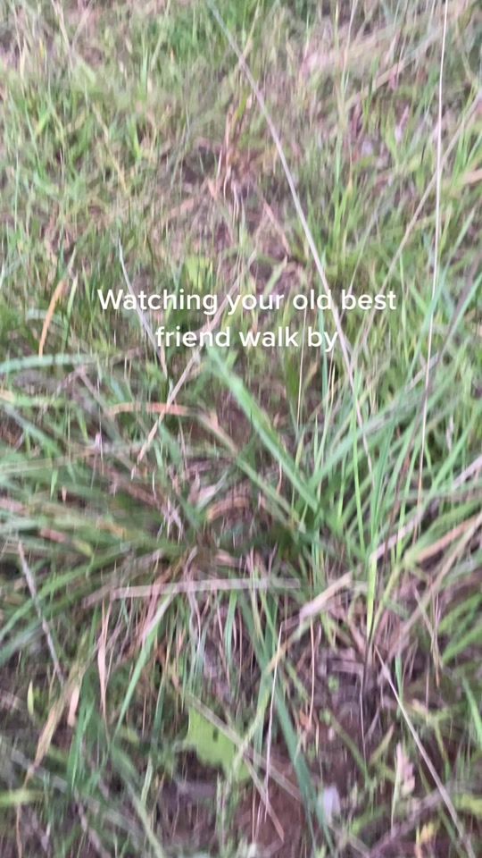 TikTok video thumbnail by casperr_5.3
