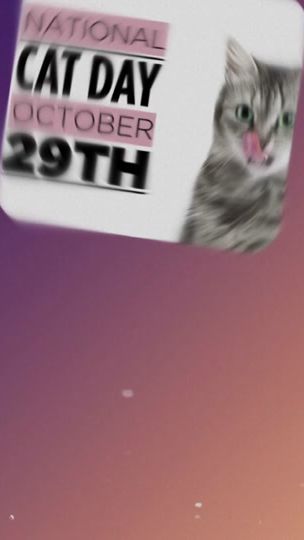 TikTok video thumbnail by mai.the.aussie