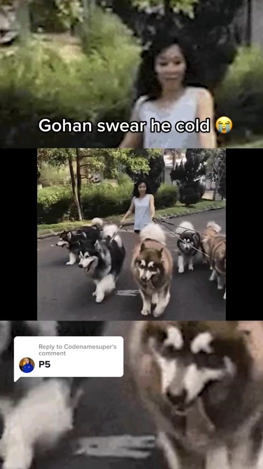 TikTok video thumbnail by codenamesuper