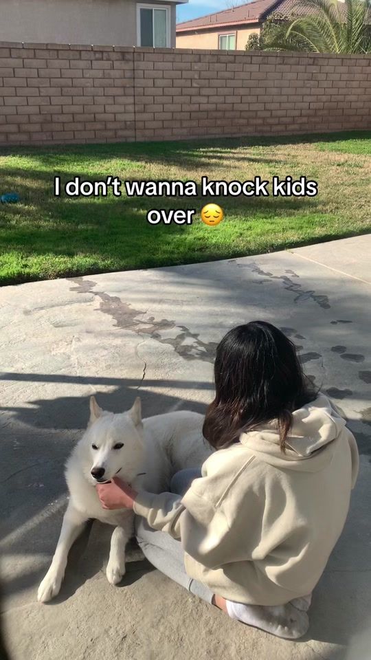 TikTok video thumbnail by versaschi