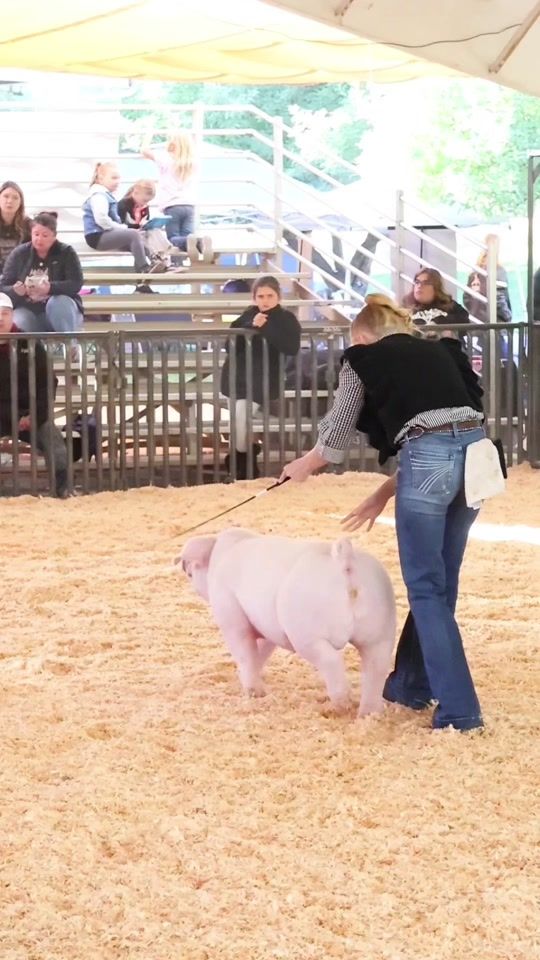 TikTok video thumbnail by smalltowngenetics