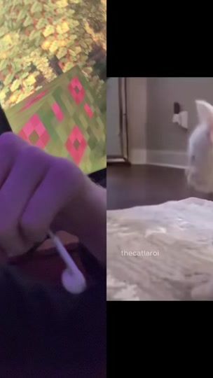 TikTok video thumbnail by loafyleo