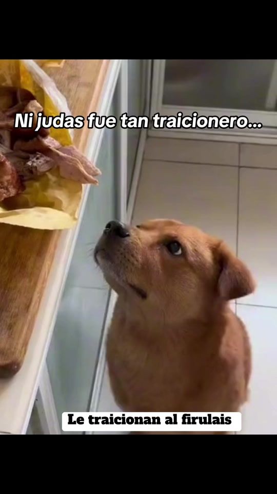 TikTok video thumbnail by flfoswag7
