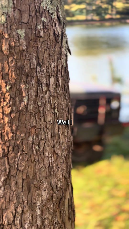 TikTok video thumbnail by bucky1985