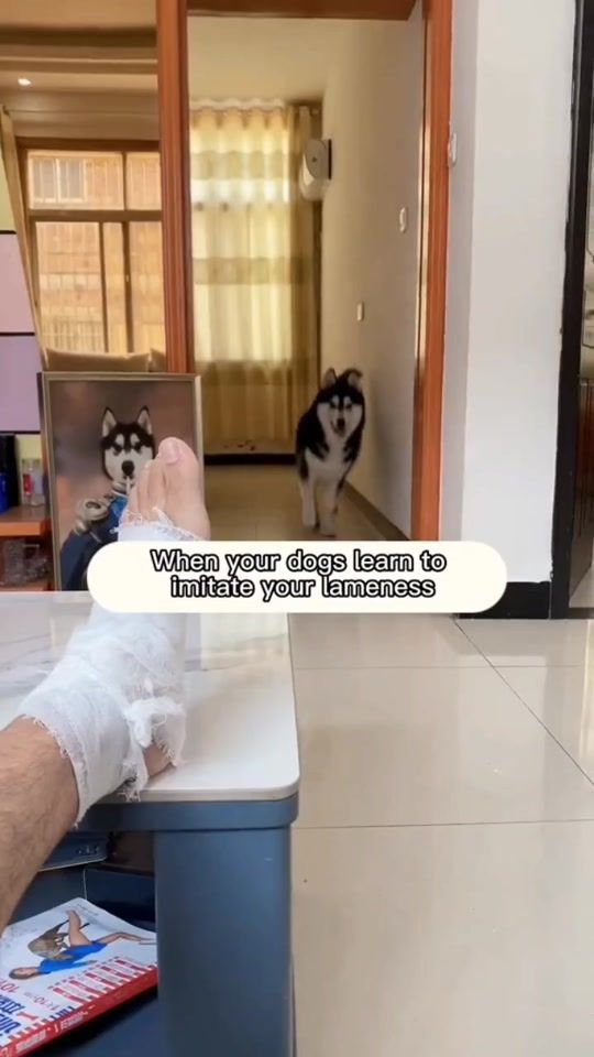 TikTok video thumbnail by sorlden1