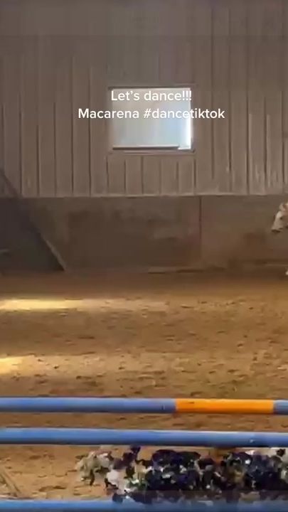 TikTok video thumbnail by emmaandgoldilicious
