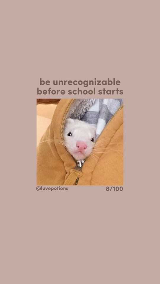 TikTok video thumbnail by luvepotions