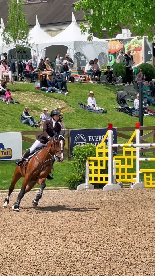 TikTok video thumbnail by clara.equestrian