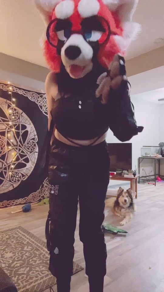 TikTok video thumbnail by emersalad