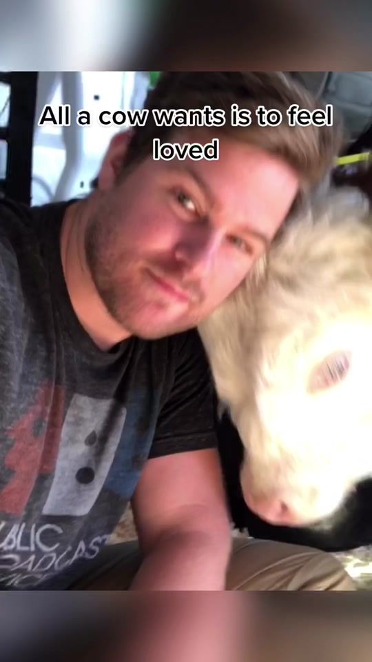 TikTok video thumbnail by danmckernan