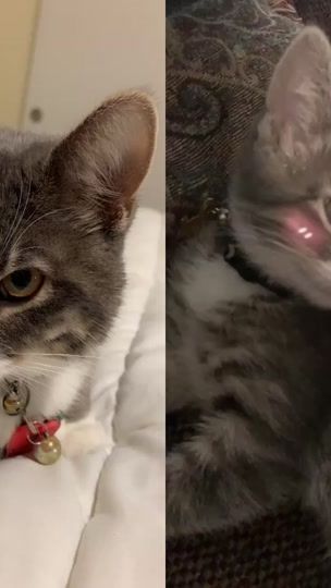 TikTok video thumbnail by lolanocek