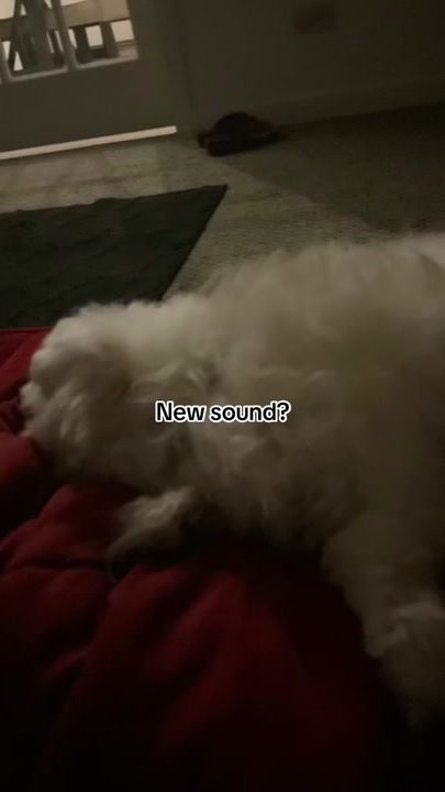 TikTok video thumbnail by resturain_nain6