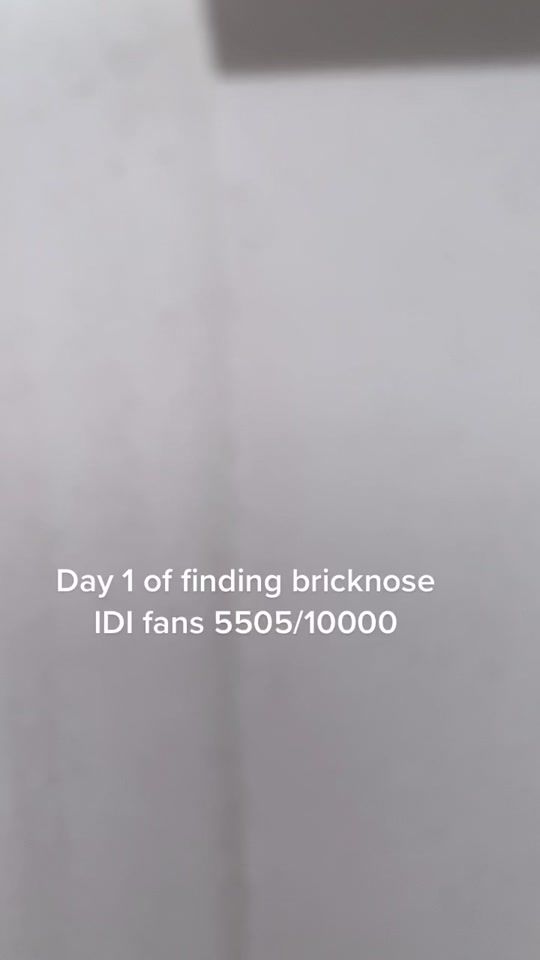 TikTok video thumbnail by frankiemendes_6.9idi