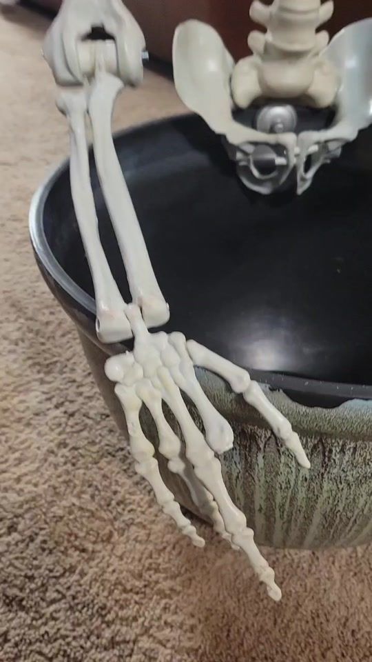 TikTok video thumbnail by sirozclay